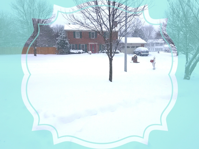 wpid-snow-with-border.jpg.jpeg